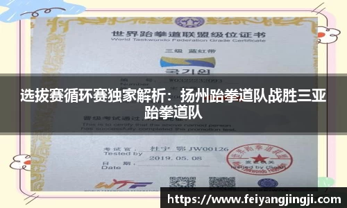 选拔赛循环赛独家解析：扬州跆拳道队战胜三亚跆拳道队